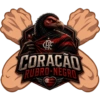 CORAÇÃO RUBRO-NEGRO❤️🖤 10