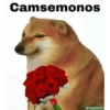 Emojis lindos 9
