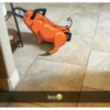 🧡Pochita Chainsaw Man🔥 9