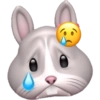 Плачущий зайчик
