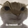Es travesti...?