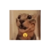 Kucing 22
