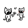Gatos 11