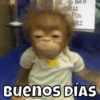 BUENOS DÍAS