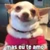 🕶 Reação Viral Tiktok Duplinha 30