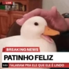 Reações + patinhos 🦆 13
