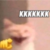 MEMES ALEATÓRIOS  5