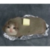 Gatos llorando 10
