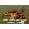 Dinosaurio meme 23