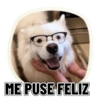REACCIONES PERRUNAS 🐕😛 15