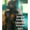 Momos 7