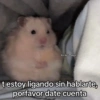 Memes Respuestas 4 7
