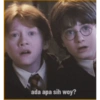 Harry Potter Indonesia 27