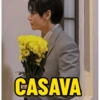 CASAVA