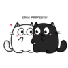 Gatito Inestable 16