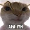 AFA IYH