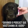 Pets Fofos Memes 5 🐾 5