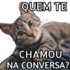 MEMES DE QUALIDADE 15