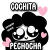 SoyTinitaV
sígueme 2