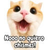 Frases de gatito#1 💬🐱 14