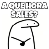A QUE HORA SALES?