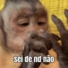 Meme e Shitpost 4