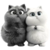 GATITOS REACCION 11