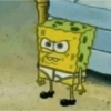 Bob Esponja 🧽 6