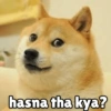 hasna tha kya?