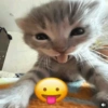 Реакции любви 🥰 6