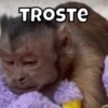 TROSTE