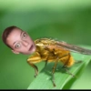 Memes Random 24 🔥😎👑 14