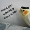 Memes brasil/Copa América  8