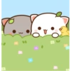 Peach and Goma Wallpaper 11