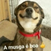 Só meme bom kkkkkkkk 10