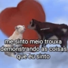 VOCÊ IRÁ CURTIR ESSAS  7