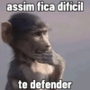 🐒 Macaco Direto e Sincero 16
