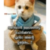 Malayalam baby's 20