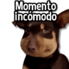 Perritos Pa Ti💕🐶 6