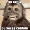 🐒 Macaco Direto e Sincero 12