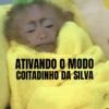 Meme e Shitpost 6
