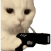 Kucing lucu 9