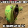 Pets Fofos Memes 5 🐾 12