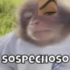 SOSPECHOSO