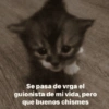 Se pasa de vrga el guionista de mi vida, pero que buenos chismes
