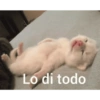 Lo di todo