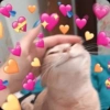 Reações de amor 12