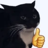 🤓 GATOOOZ !!¡¡😺🗯️ㅤㅤ 5
