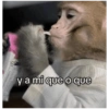 Monkys 3000 🐒 18