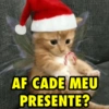 AS NOVAS DE NATAL 12